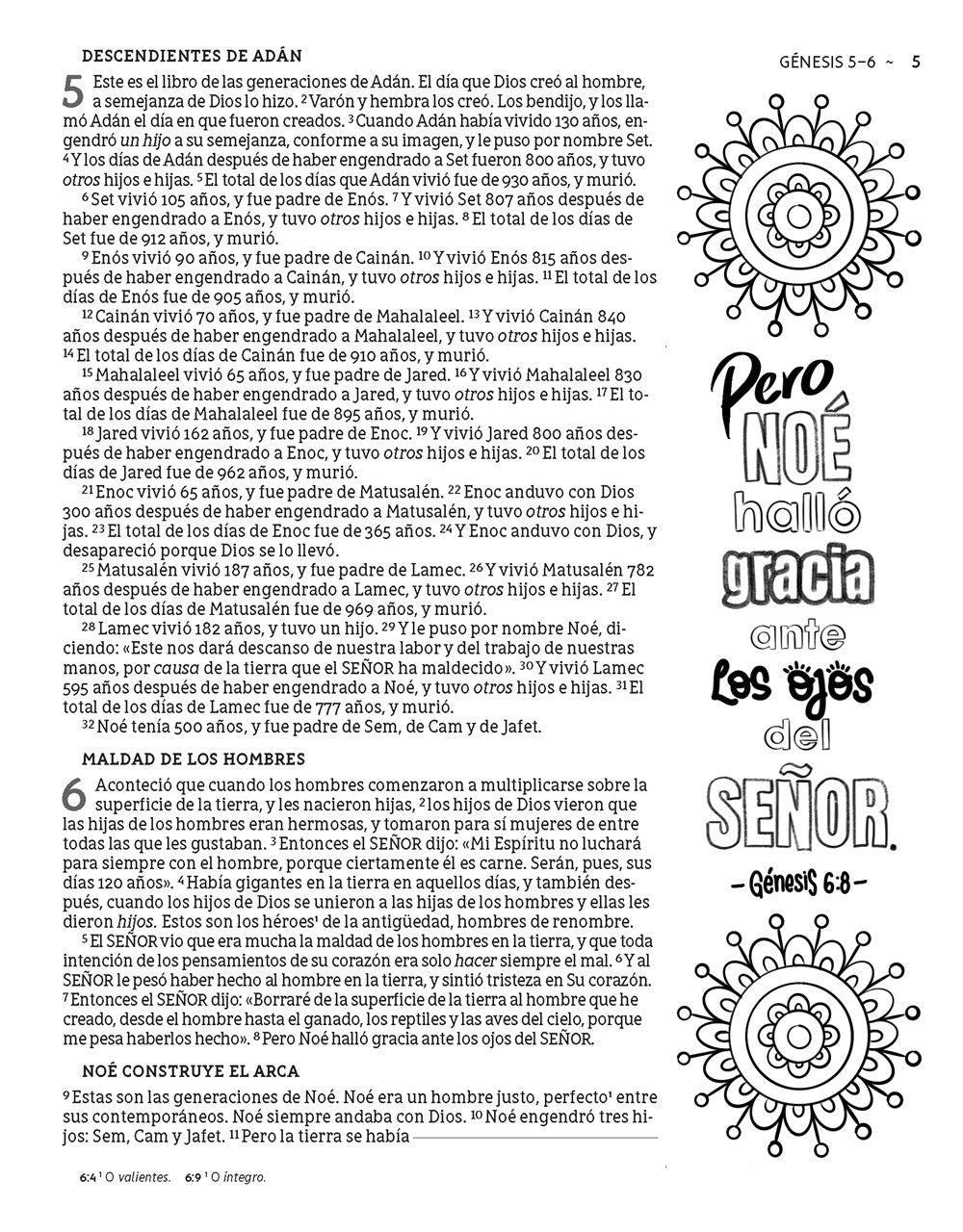 NBLA: SANATA BIBLIA EDICIÓN ARTÍSTICA