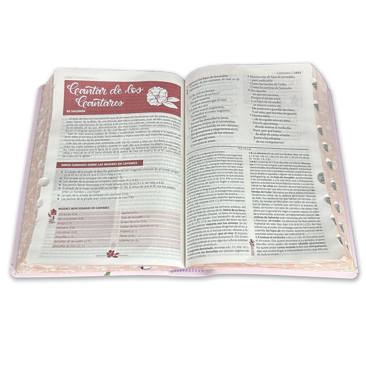 RVR60: BIBLIA DE ESTUDIO SER MUJER