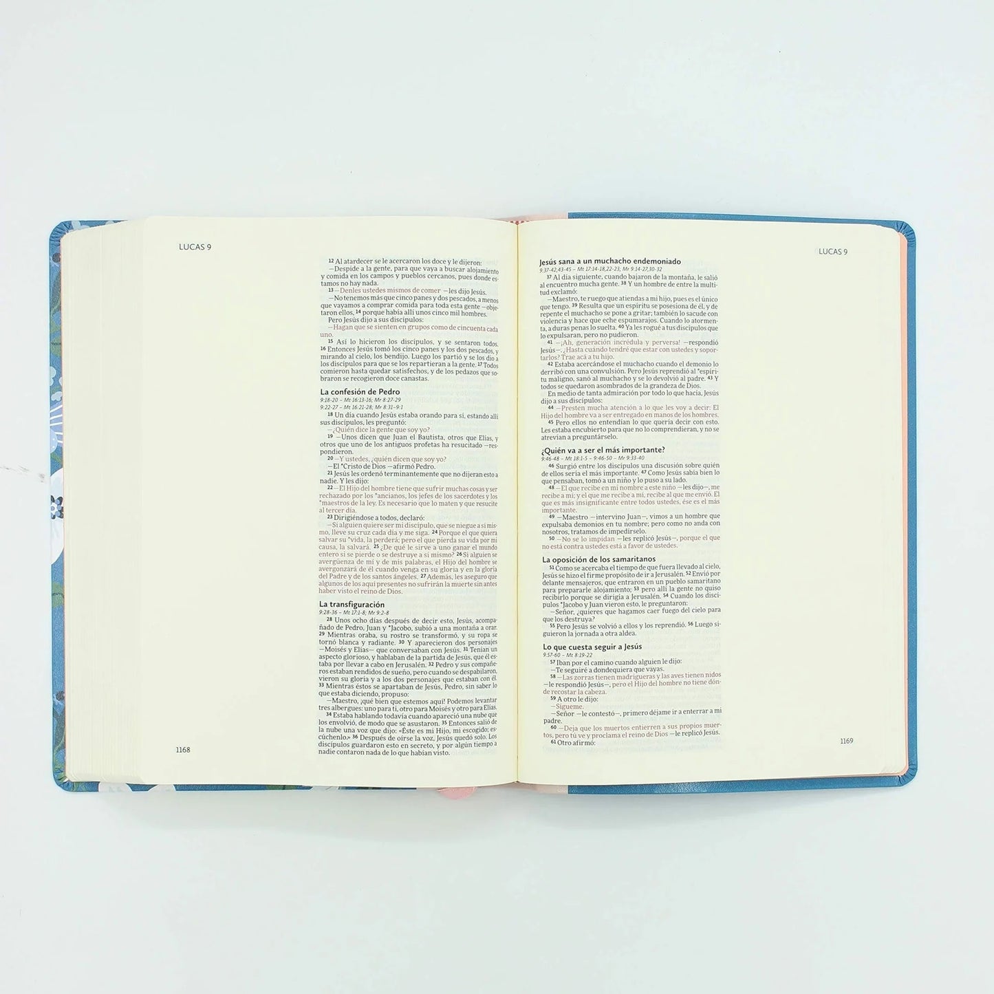 NVI: BIBLIA ILUSTRA TU FE