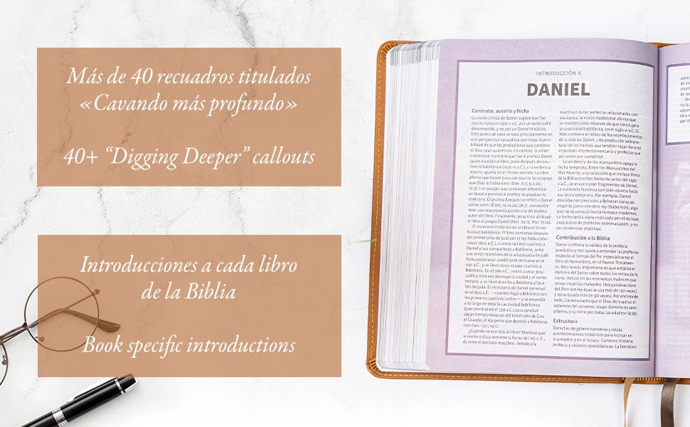 RVR60: BIBLIA ILUSTRADA DE LA TIERRA SANTA