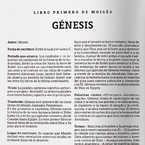 RVR60: BIBLIA DE ESTUDIO ARCOIRIS | CON ÍNDICE