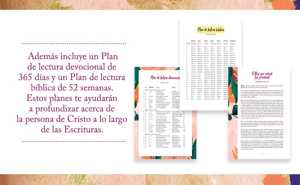 RVR60: BIBLIA DEVOCIONAL CENTRADA EN CRISTO