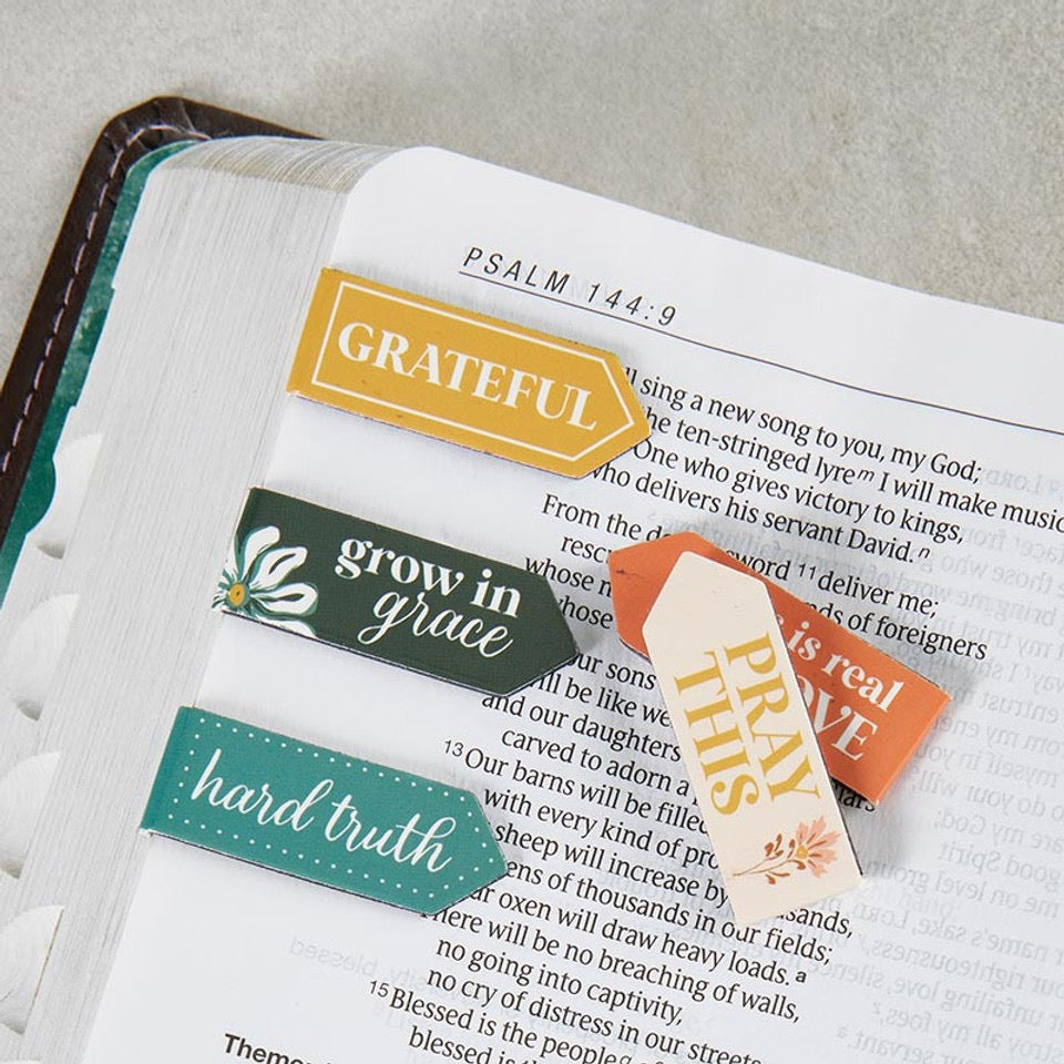 MARCADOR DE PÁGINAS MÁGNETICAS