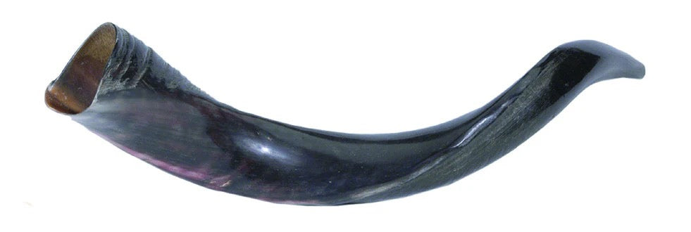 MINI SHOFAR YEMINÍ