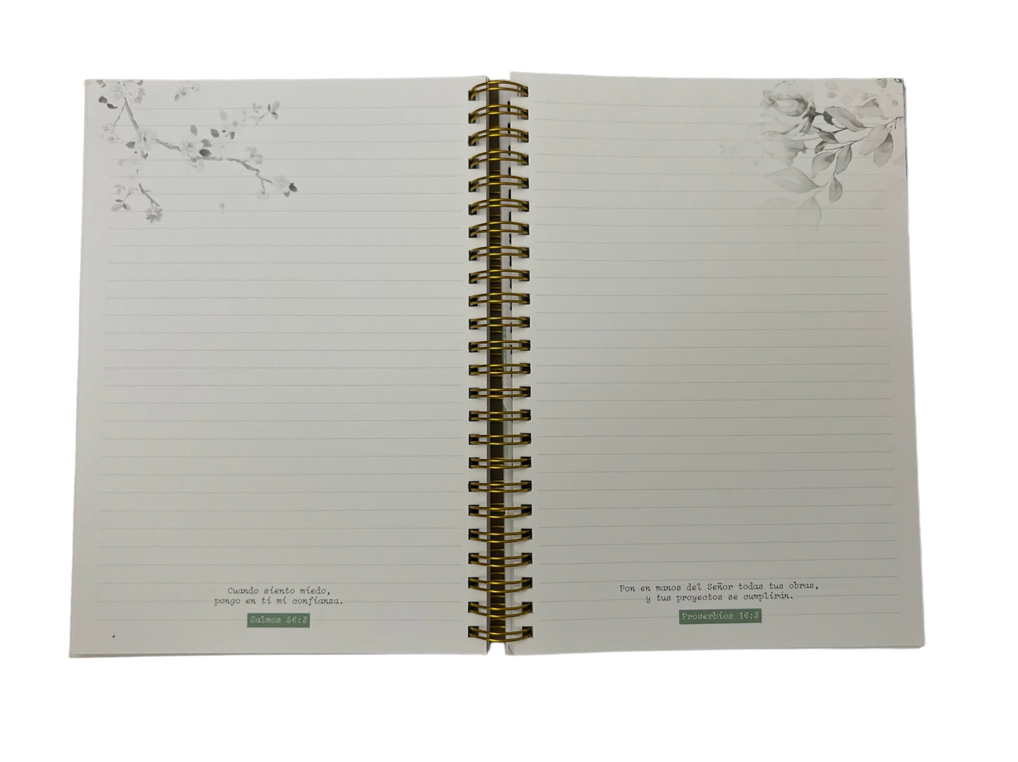 LIBRETA: COLECCIÓN GREEN