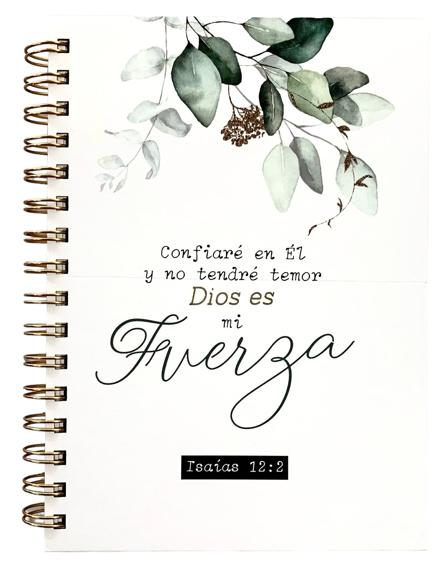 LIBRETA: COLECCIÓN GREEN