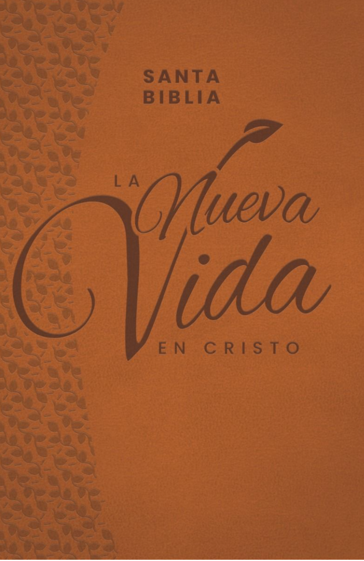 NVI: BIBLIA LA NUEVA VIDA EN CRISTO