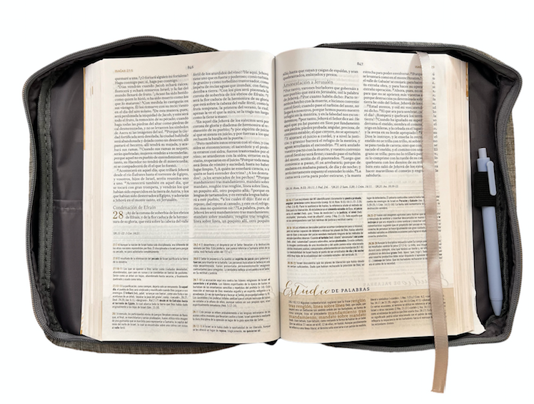 CUBIERTA PARA BIBLIA: FUERZA