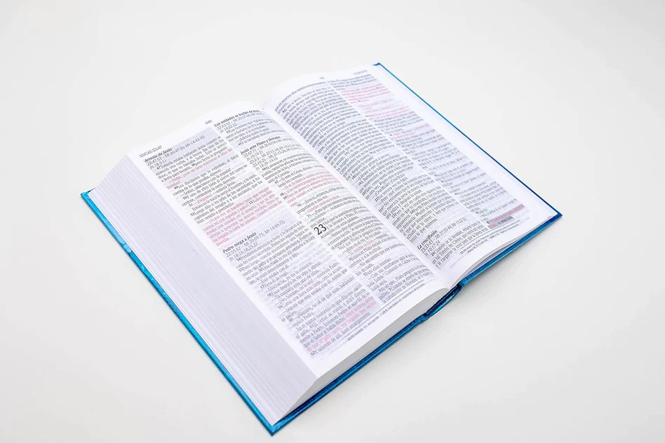 NVI: SANTA BIBLIA
