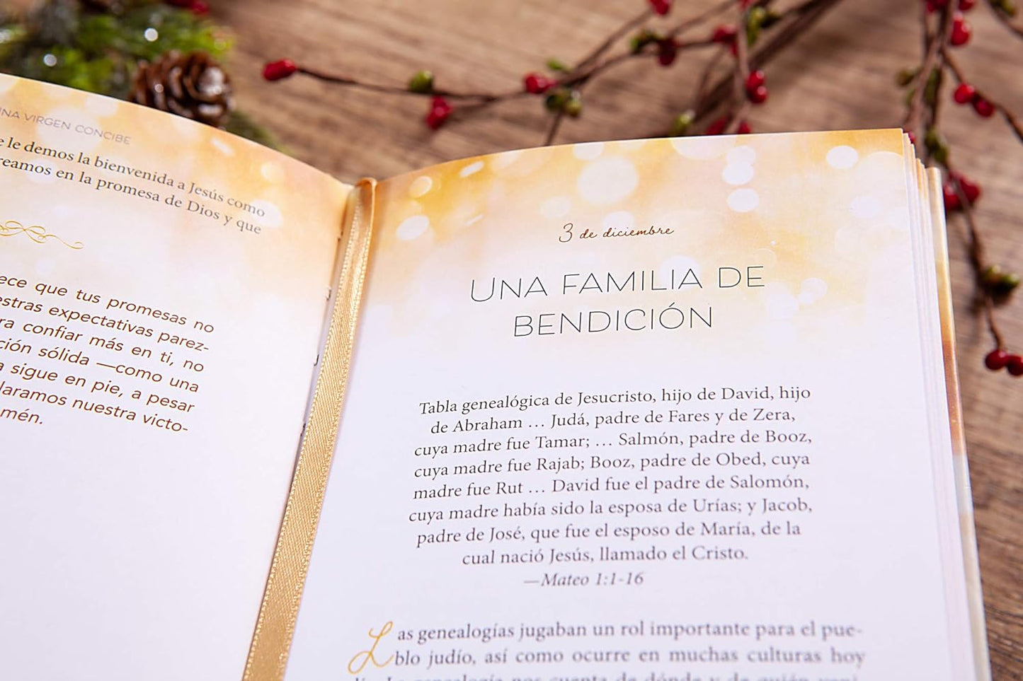 40 DIAS DE NAVIDAD