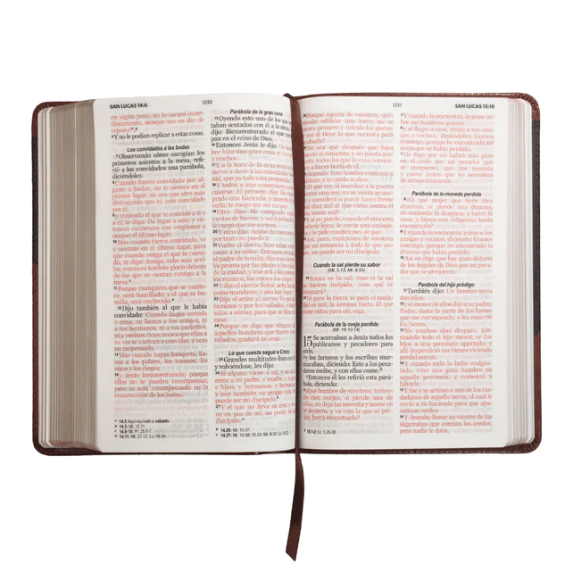 RVR60: SANTA BIBLIA (LETRA GRANDE)