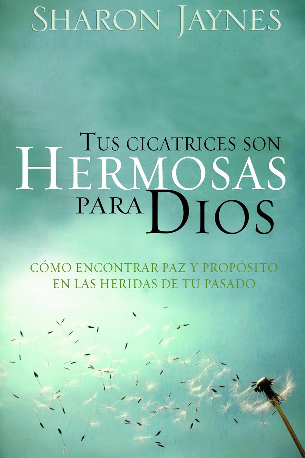 TUS CICATRICES SON HERMOSAS PARA DIOS