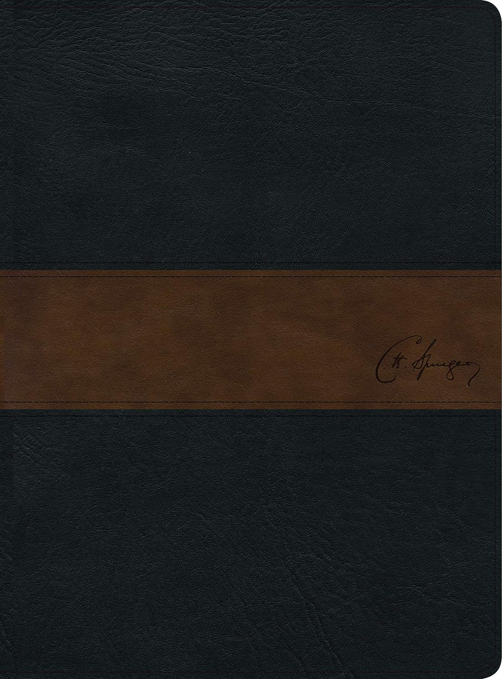 RVR60: BIBLIA DE ESTUDIO SPURGEON