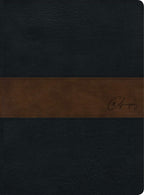 RVR60: BIBLIA DE ESTUDIO SPURGEON