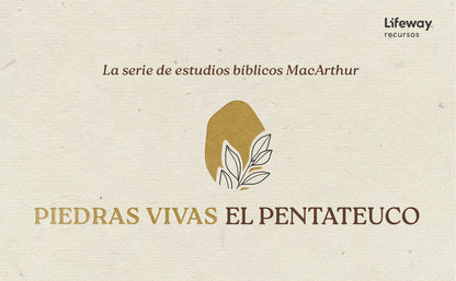 PIEDRAS VIVAS: ÉXODO Y NÚMEROS