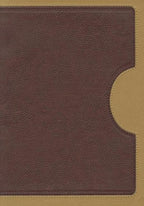 RVR60: BIBLIA DE ESTUDIO VIDA PLENA