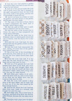 MR. PEN: PESTAÑAS PARA LA BIBLIA