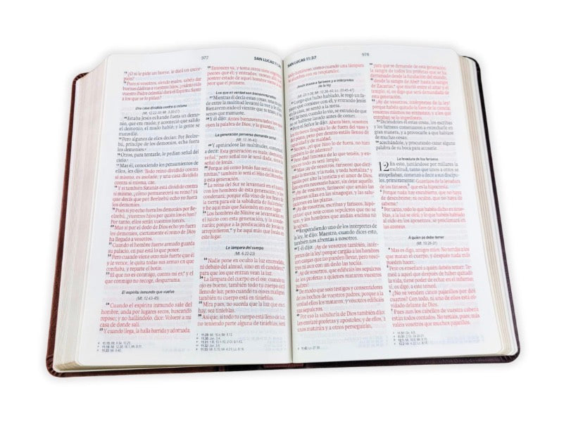 RVR60: SANTA BIBLIA LETRA GRANDE