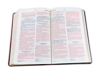 RVR60: SANTA BIBLIA LETRA GRANDE