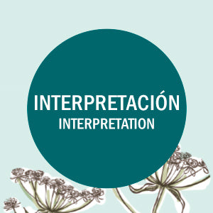 DIOS DE LA CREACIÓN: UN ESTUDIO DE GÉNESIS 1-11