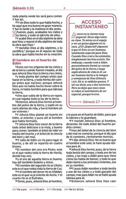 RVR60: BIBLIA DE ESTUDIOS PARA JÓVENES