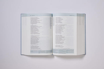 NVI: BIBLIA DE ESTUDIO TEOLOGÍA BÍBLICA