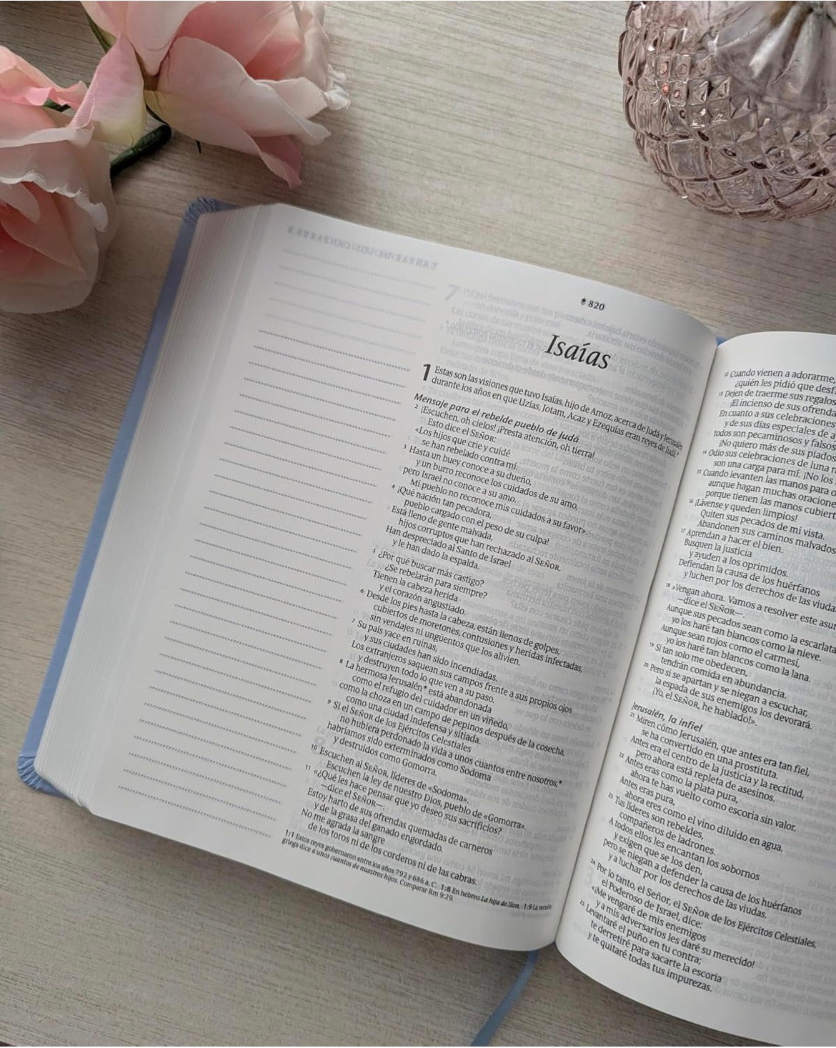 NTV: SANTA BIBLIA