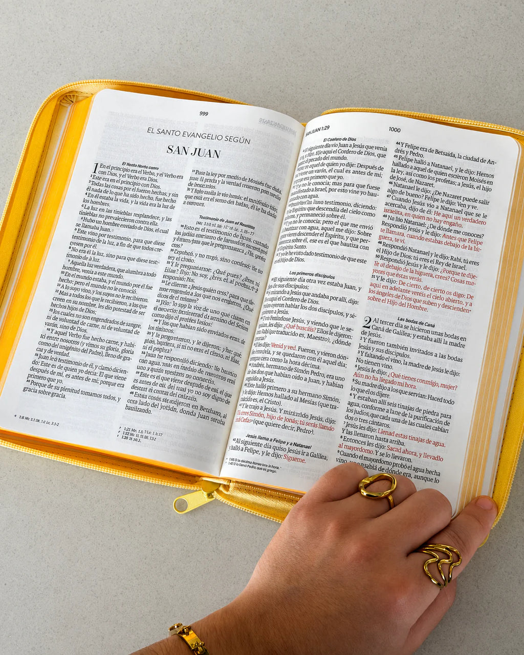 RVR60: SANTA BIBLIA