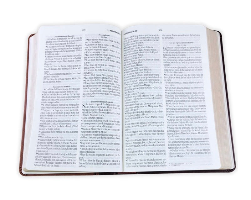 RVR60: SANTA BIBLIA LETRA GRANDE