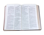 RVR60: SANTA BIBLIA LETRA GRANDE