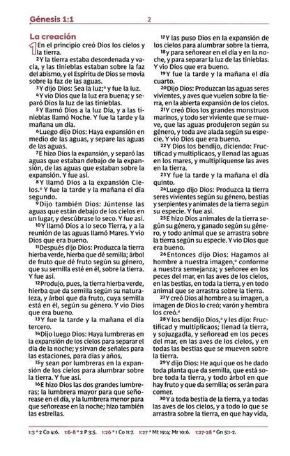 RVR60: BIBLIA DE ESTUDIOS PARA JÓVENES
