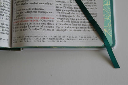 RVR60: SANTA BIBLIA