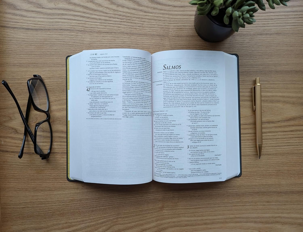 NTV: SANTA BIBLIA EDICIÓN PREMIO Y REGALO