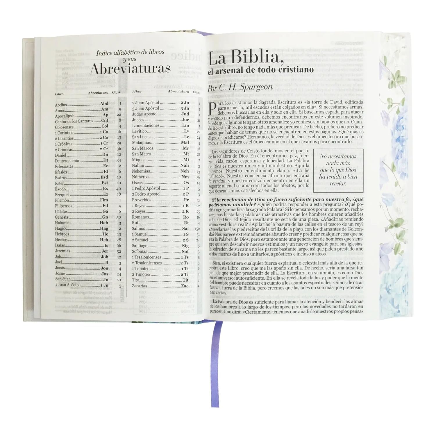 RVR60: SANTA BIBLIA