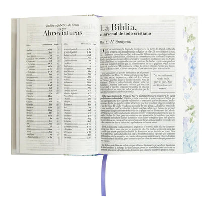 RVR60: SANTA BIBLIA