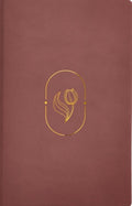 BIBLIA DE PROMESAS VIRTUOSA