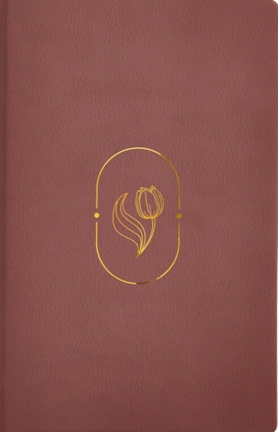 BIBLIA DE PROMESAS VIRTUOSA