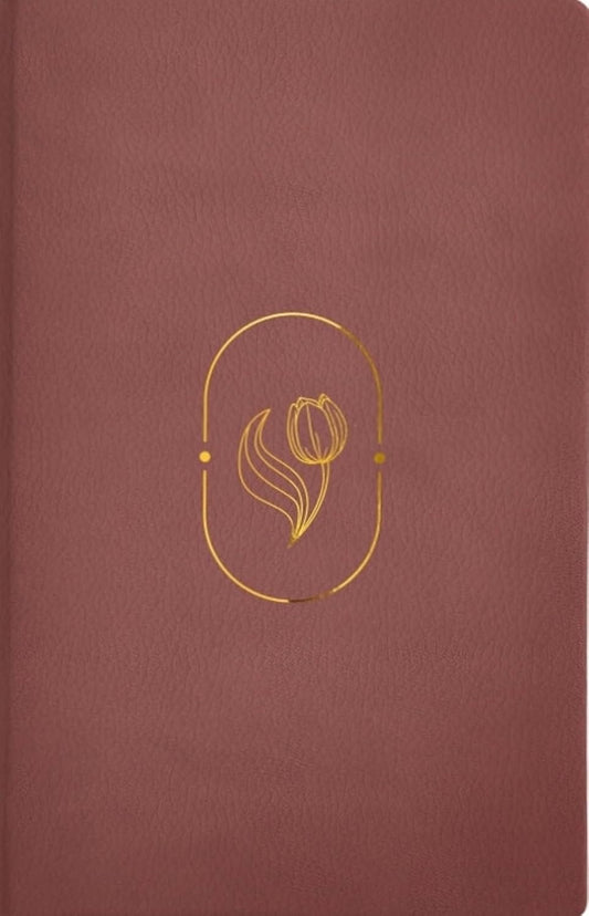 BIBLIA DE PROMESAS VIRTUOSA