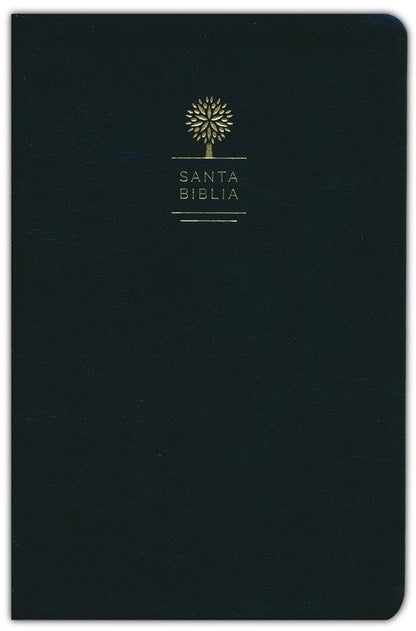 RVR60: SANTA BIBLIA (LETRA GRANDE)