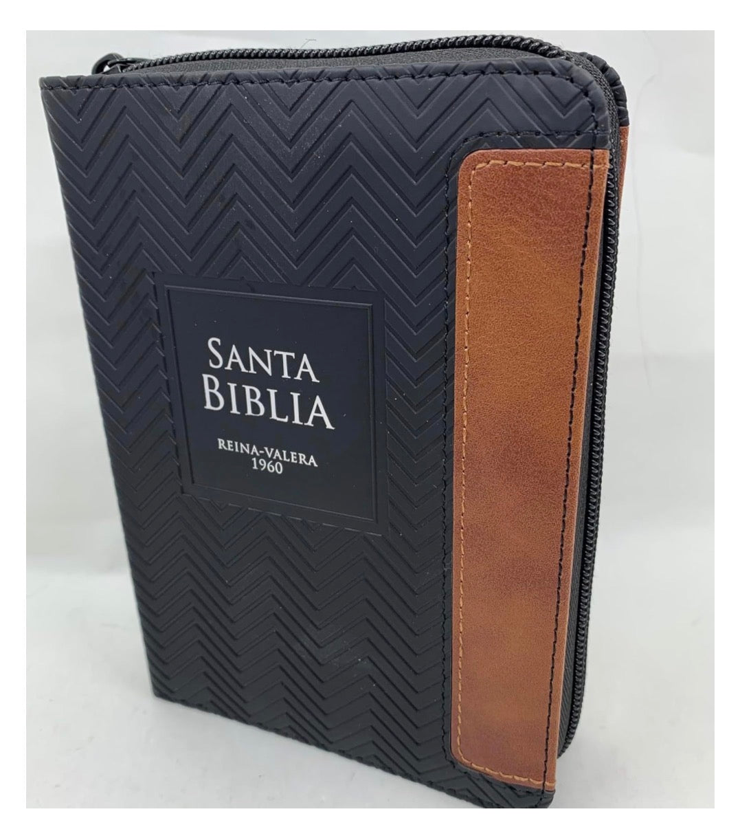 RVR60: SANTA BIBLIA