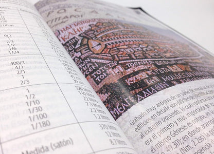 BIBLIA TEXTUAL BTX