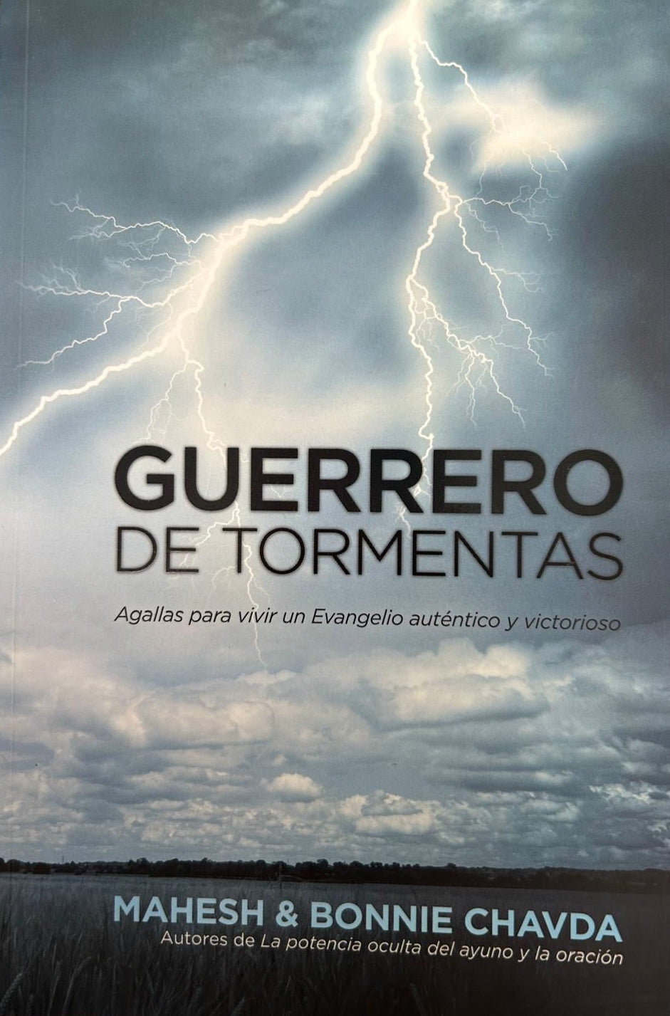 GUERRERO DE TORMENTAS