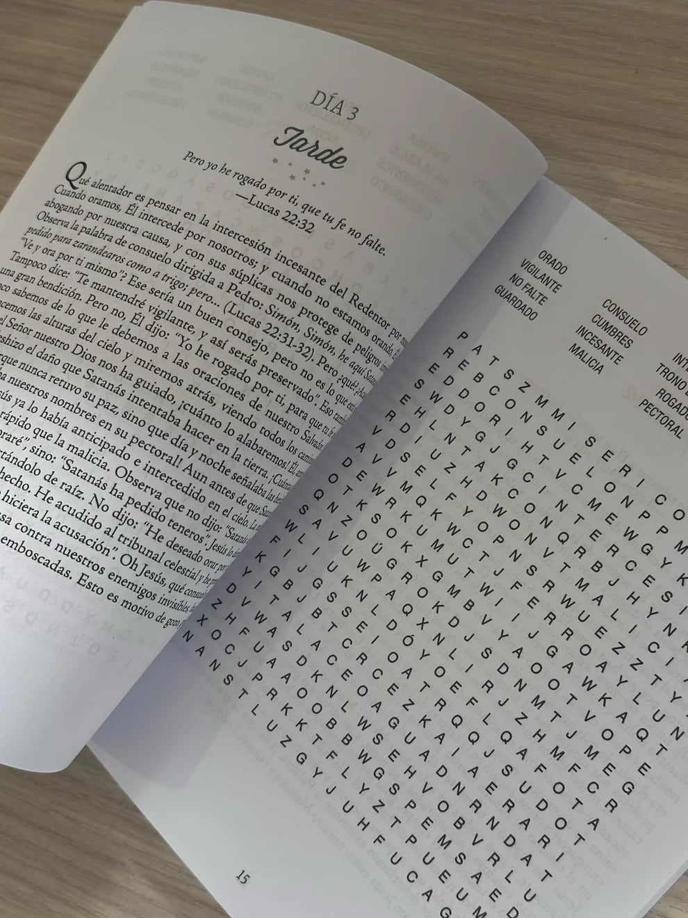 100 ACTIVIDADES: MAÑANAS Y TARDES DE GRACIA