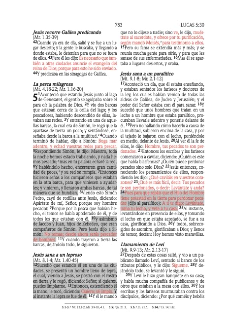 RV60: BIBLIA DE PROMESAS PARA HOMBRES JOVENES