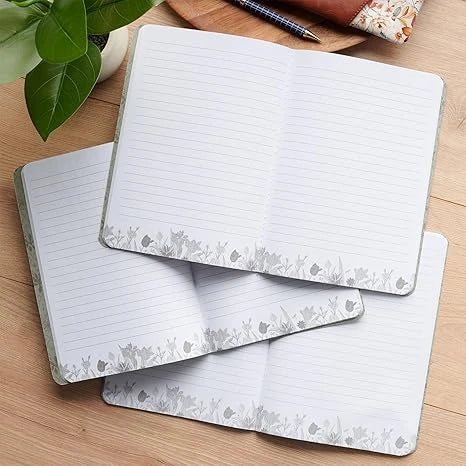 SET DE LIBRETAS