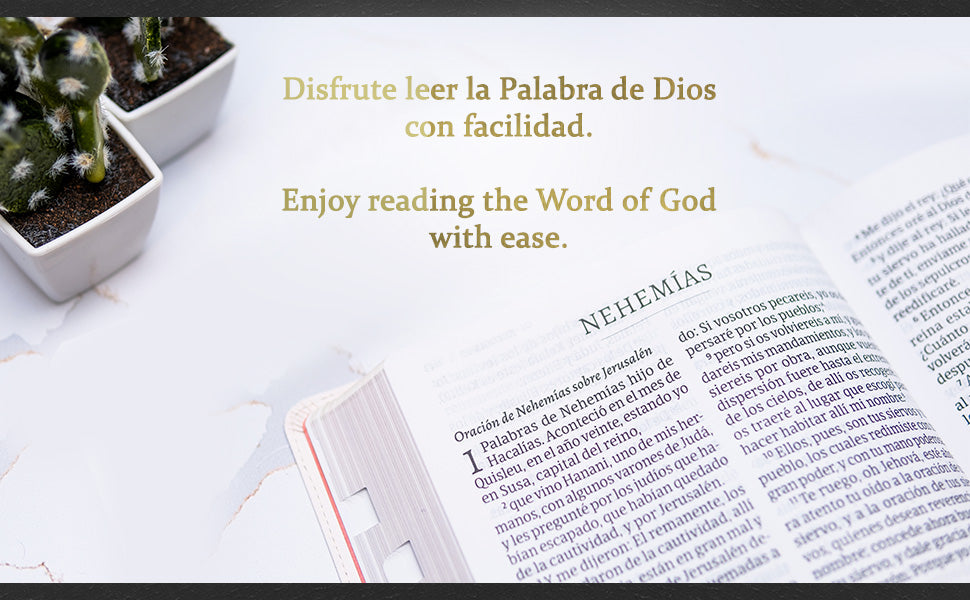 RVR60: SANTA BIBLIA LETRA GRANDE TAMAÑO MANUAL