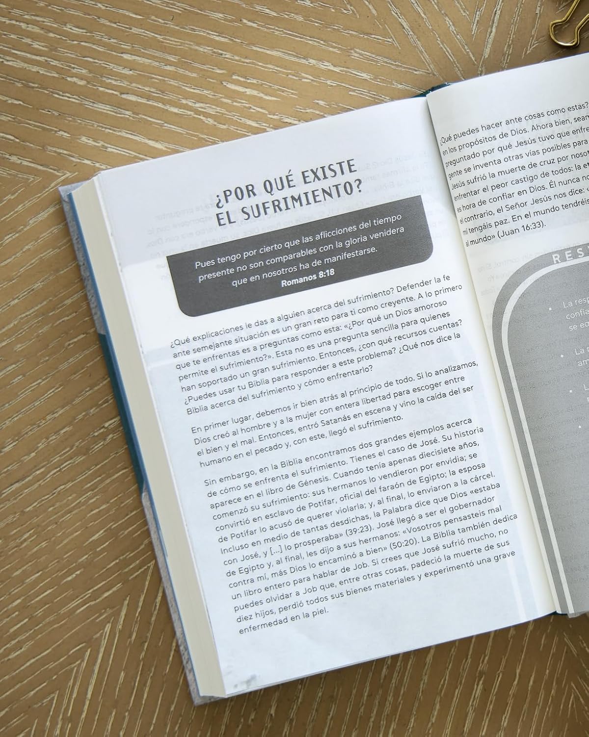 NTV: BIBLIA PROMESAS PARA JOVENES