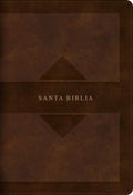 RVR60: BIBLIA EDICIÓN TIERRA SANTA