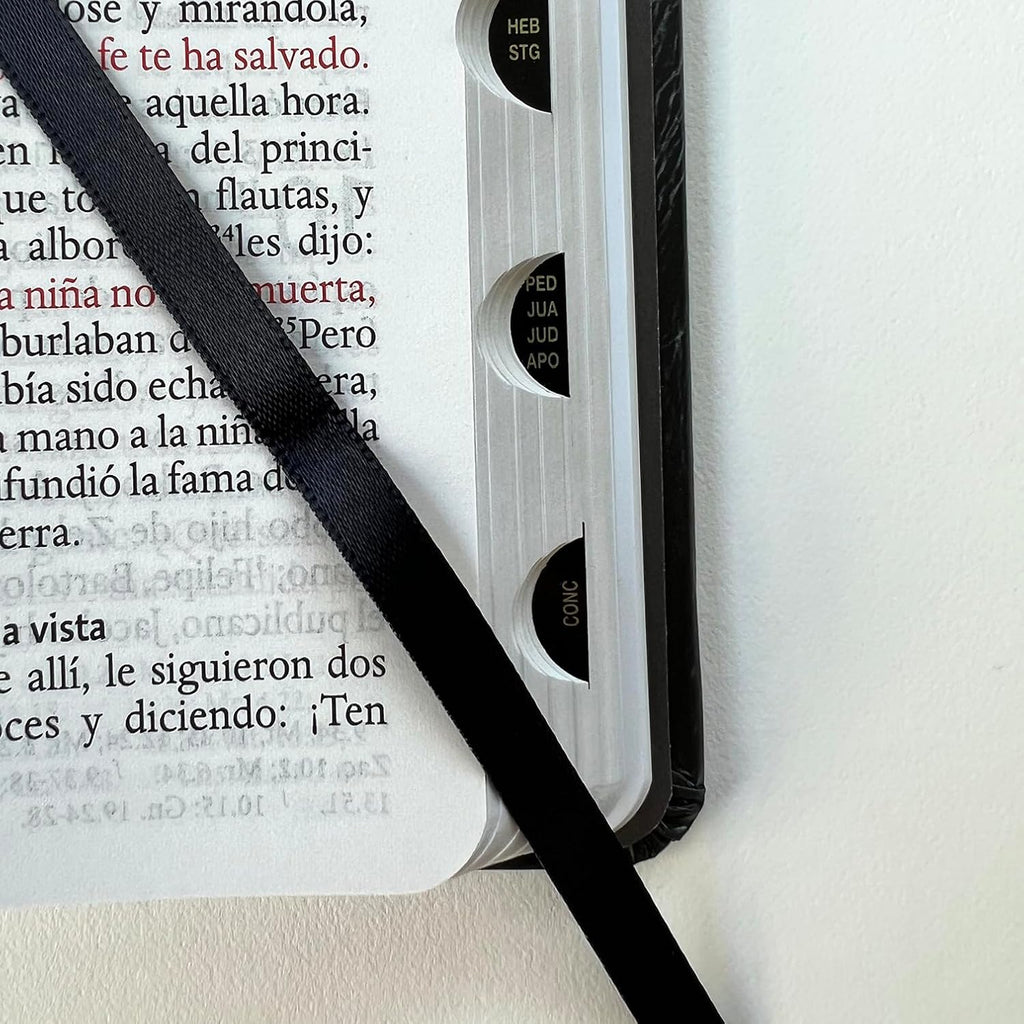 RVR60: SANTA BIBLIA LETRA GRANDE