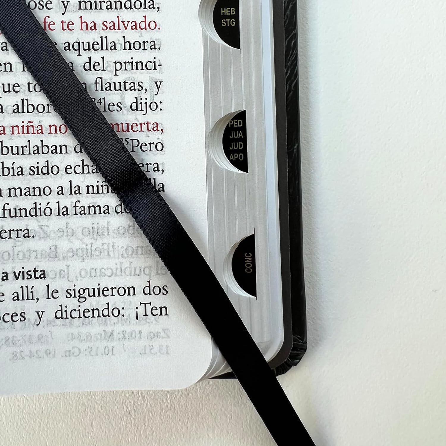 RVR60: SANTA BIBLIA LETRA GRANDE
